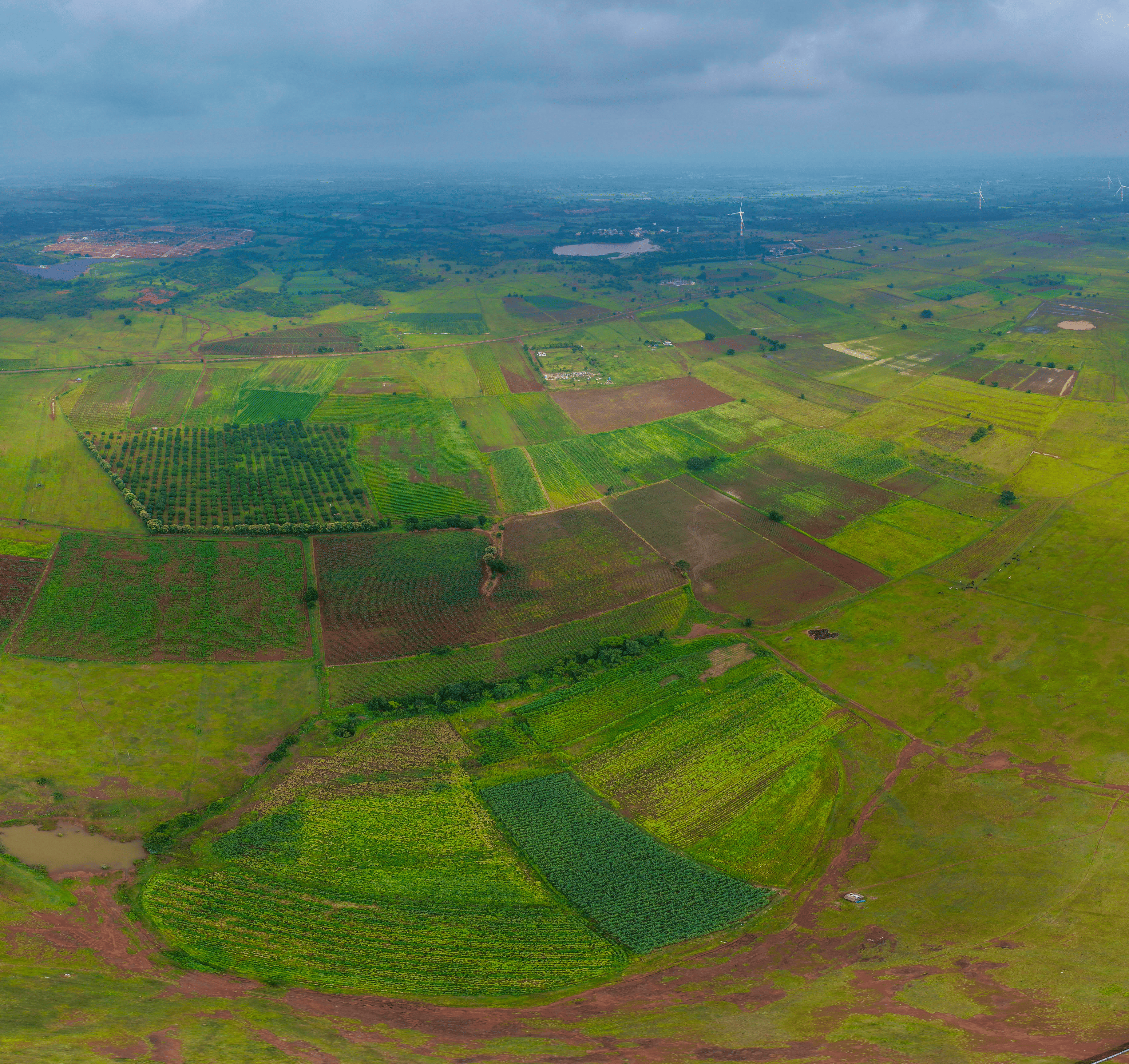 dholera