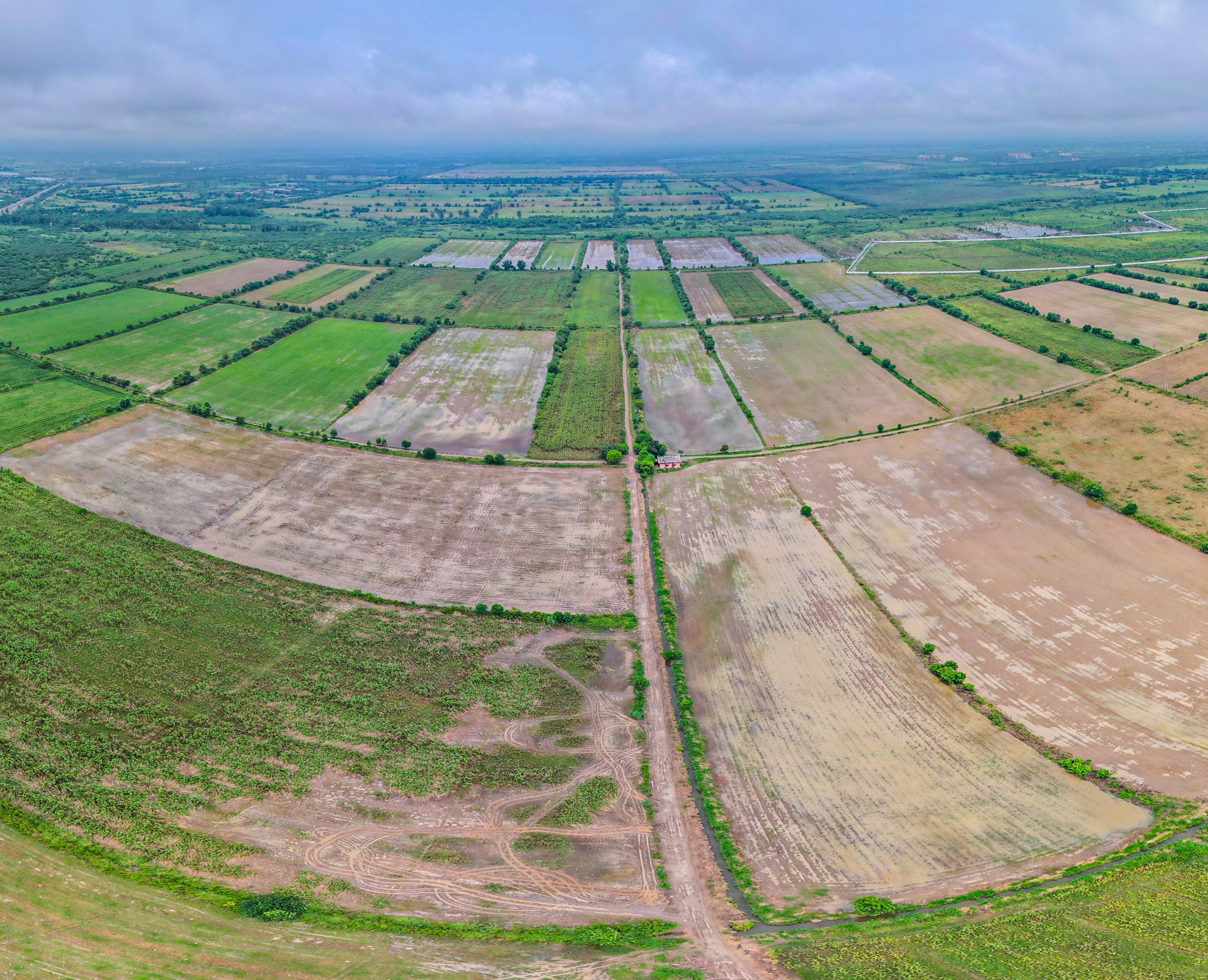 dholera